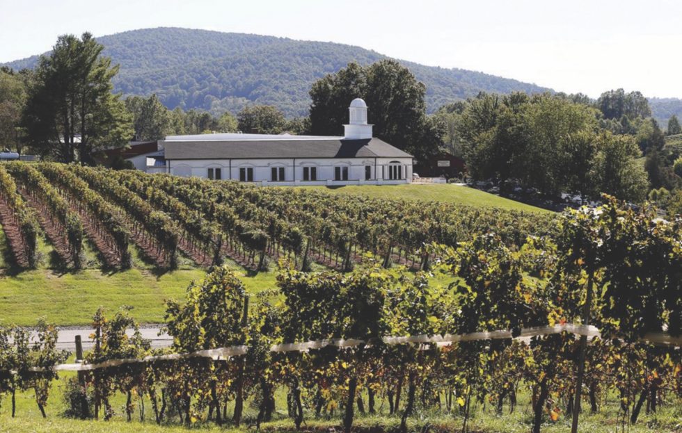 Destination: Virginia Is For Wine Lovers! | SpeedTour